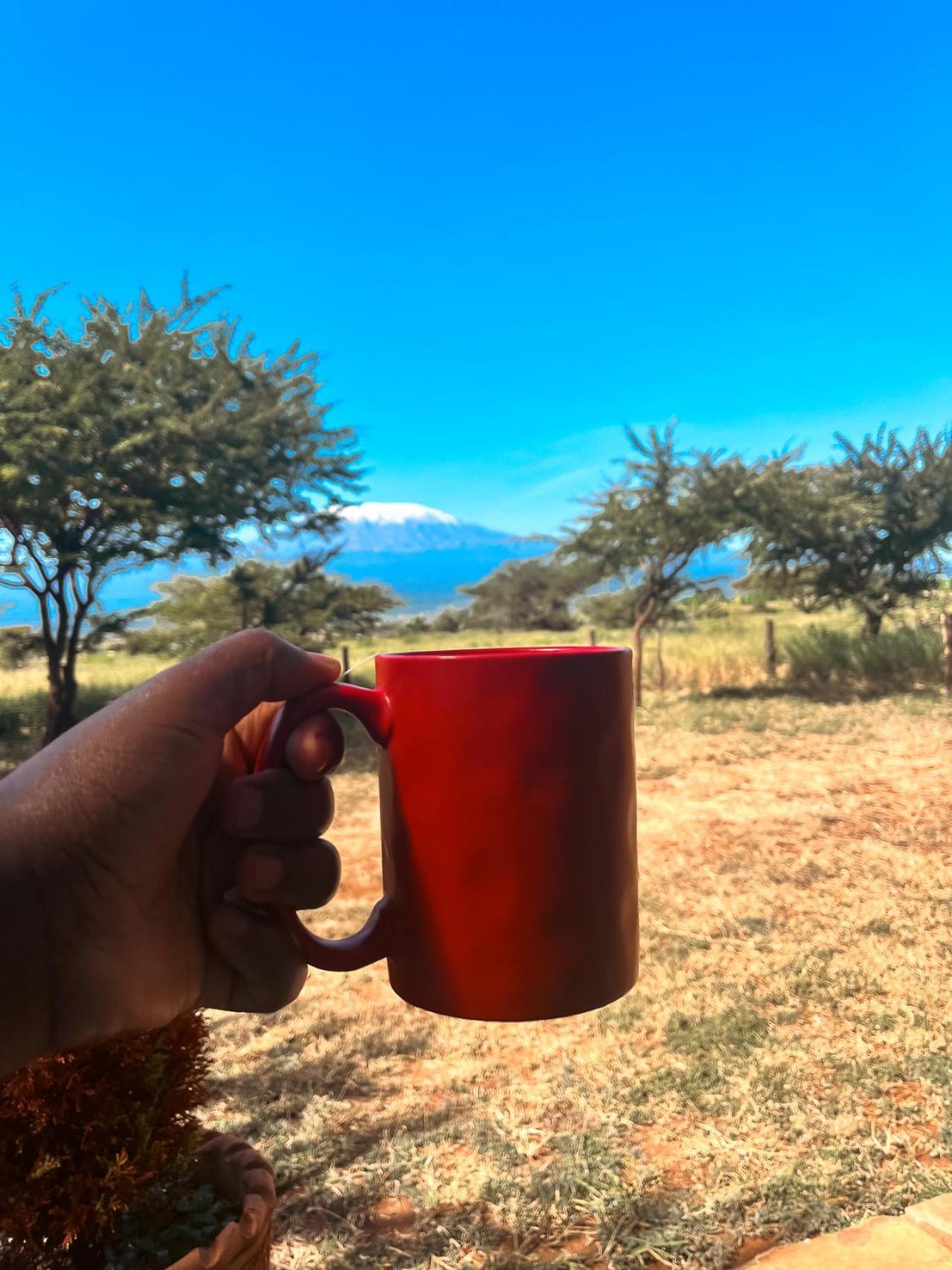 Kilimanjaro View Cabin-Amboseli Oloitokitok Номер фото